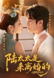 陆太太是来离婚的之慵便枕玉凉